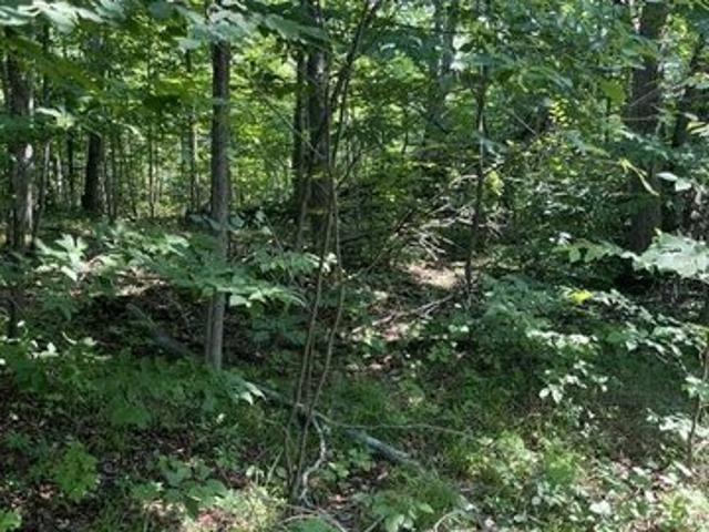 Land for sale in Frederic, Michigan