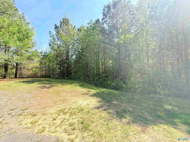 Land for sale in Guntersville, Alabama