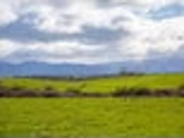 Land for sale in Cape Palliser, Wellington