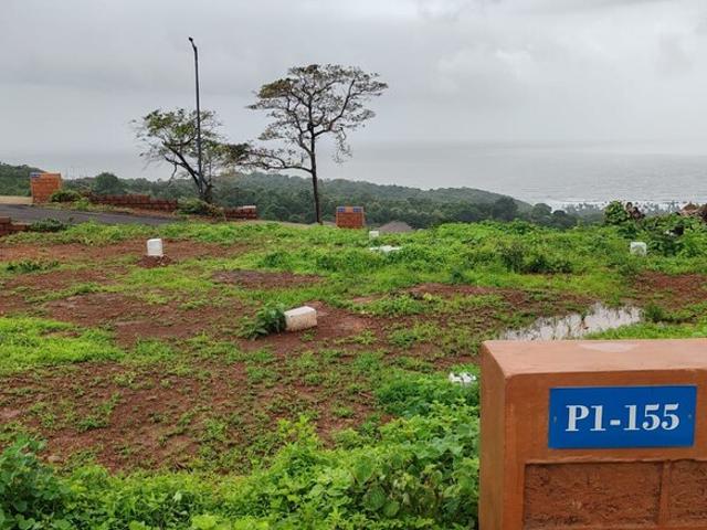Land for sale in Potti, Andhra Pradesh