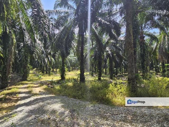 Shop for sale in Perak, Perak Tengah