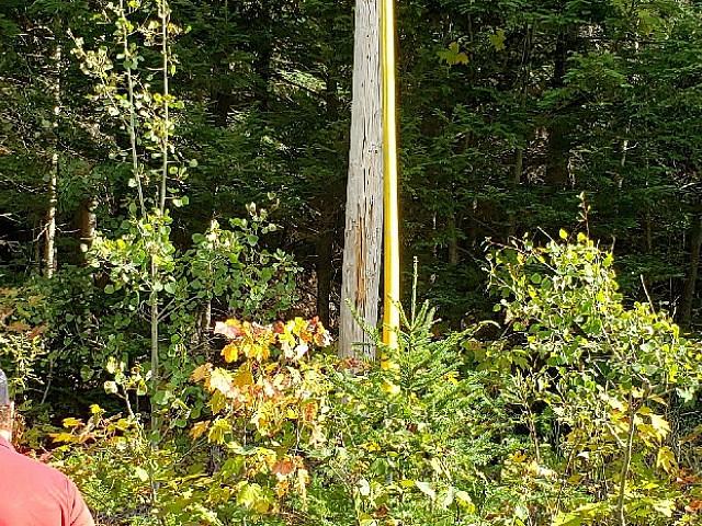 Land for sale in London