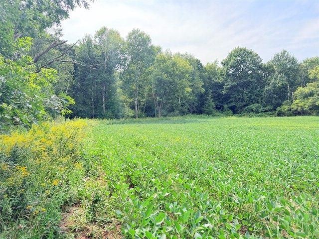 Land for sale in Saint Croix Falls, Polk County