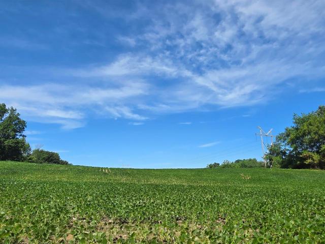 Land for sale in Montgomery, Indiana