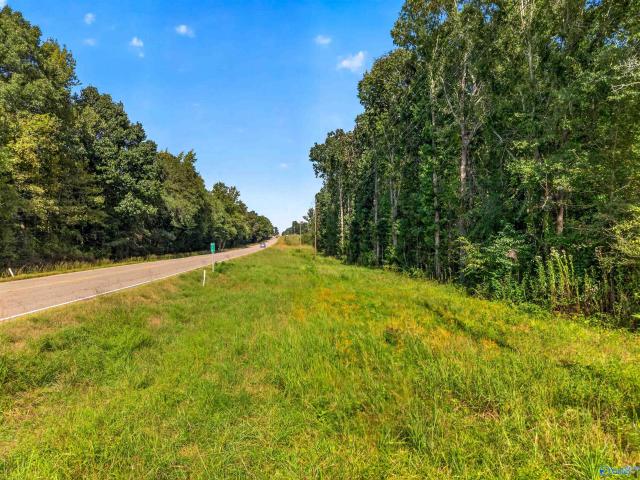 Land for sale in Walnut Grove, Etowah County