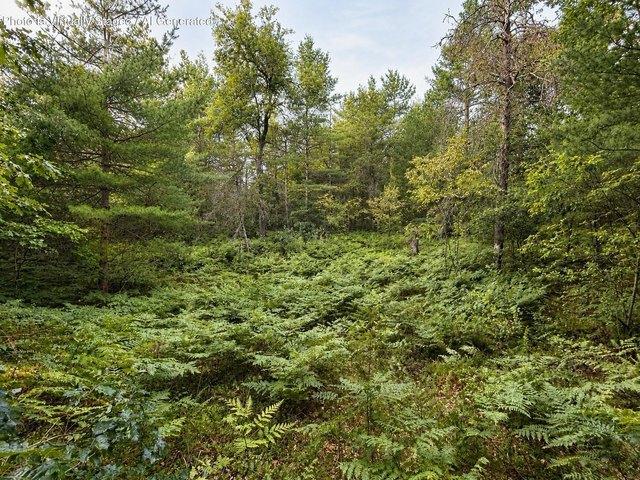 Land for sale in Johannesburg, Michigan