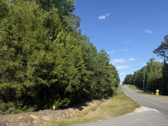 Land for sale in Walton, Florida
