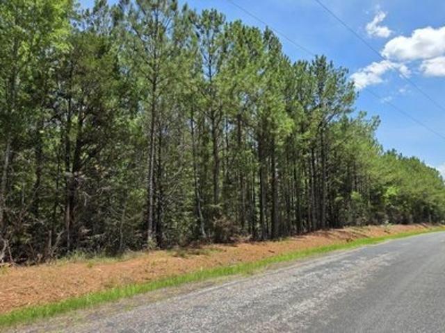 Land for sale in Mc Cormick, South Carolina