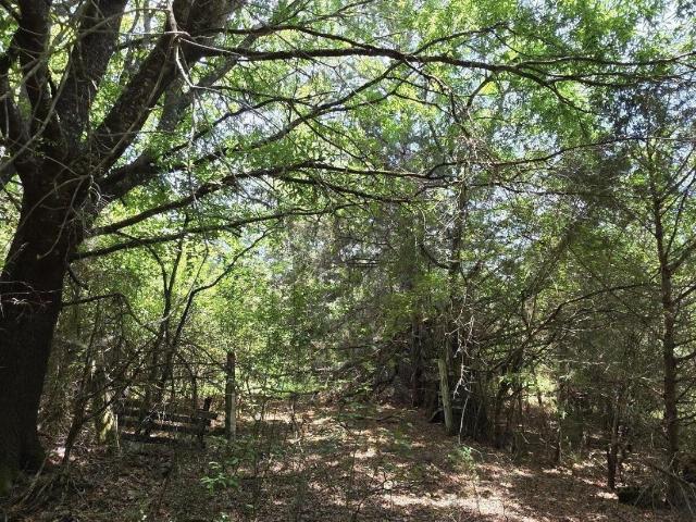 Land for sale in Mc Cormick, South Carolina