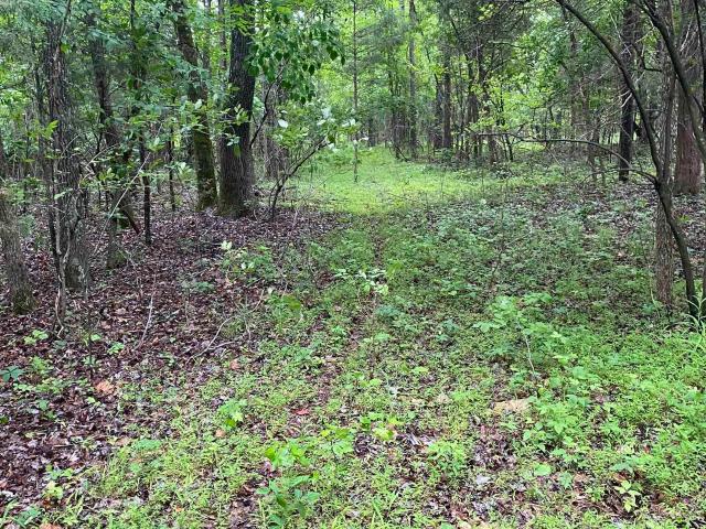 Land for sale in Ark