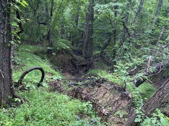 Land for sale in Ark