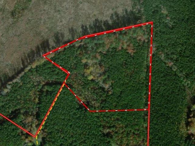 Land for sale in Virginia