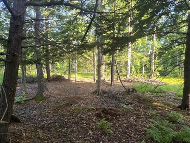 Land for sale in Free Soil, Michigan