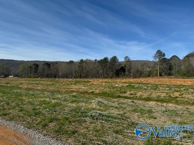 Land for sale in Owens Cross Roads Land for sale in Owens Cross Roads