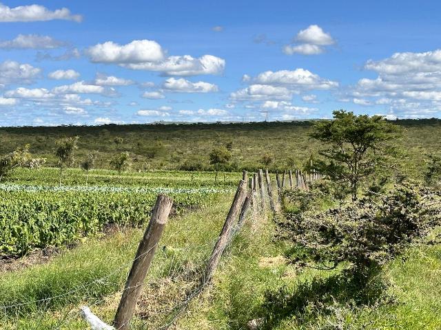 Land for sale in Kajiado