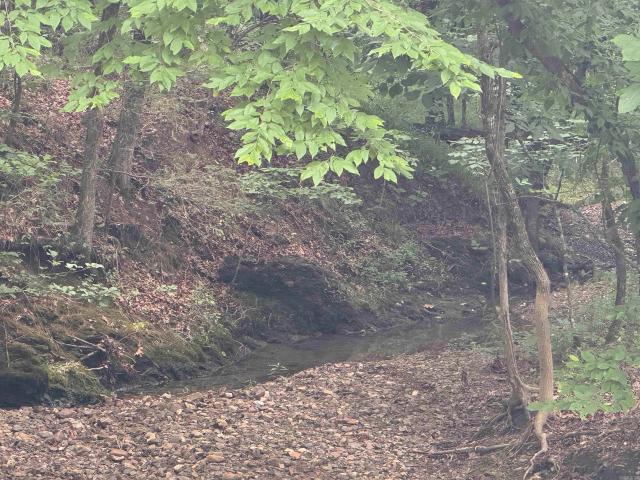 Land for sale in Ark