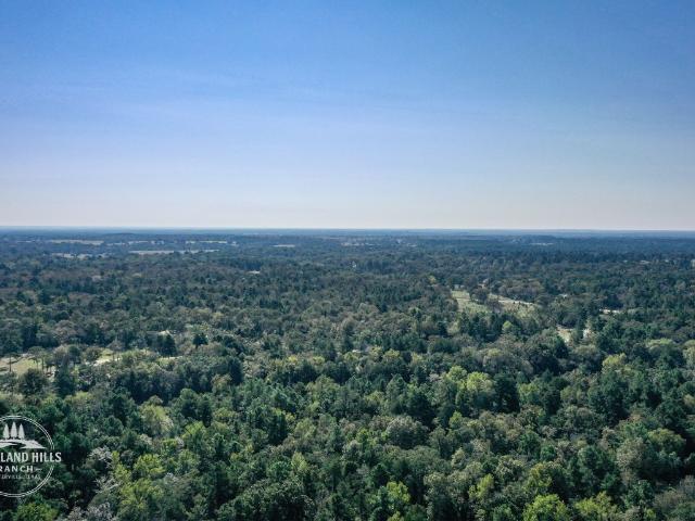 Land for sale in Centerville, Leon County