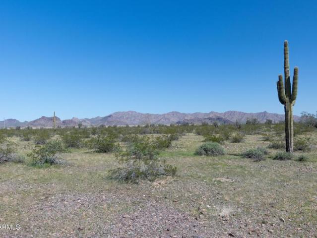 Land for sale in Tonopah