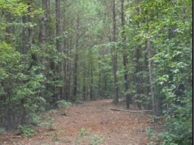 Land for sale in Ninety Six, South Carolina