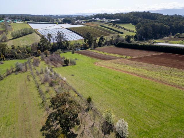 Property for sale in Camerons Creek, Victoria
