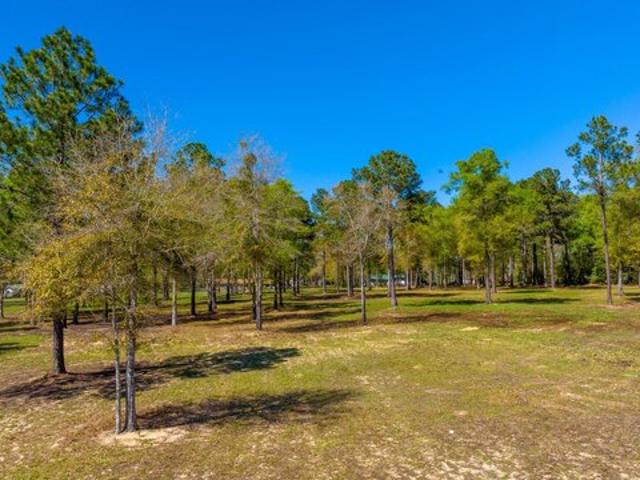 Land for sale in Walton, Florida