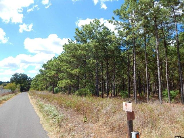 Land for sale in Big Sandy, Upshur County