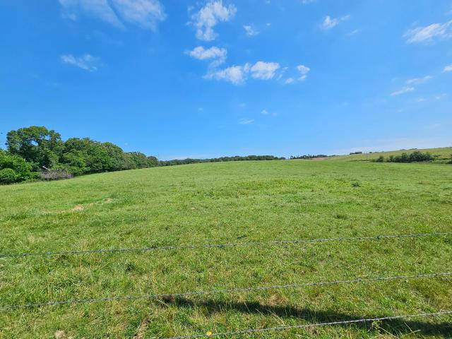 Land for sale in Anderson, McDonald County