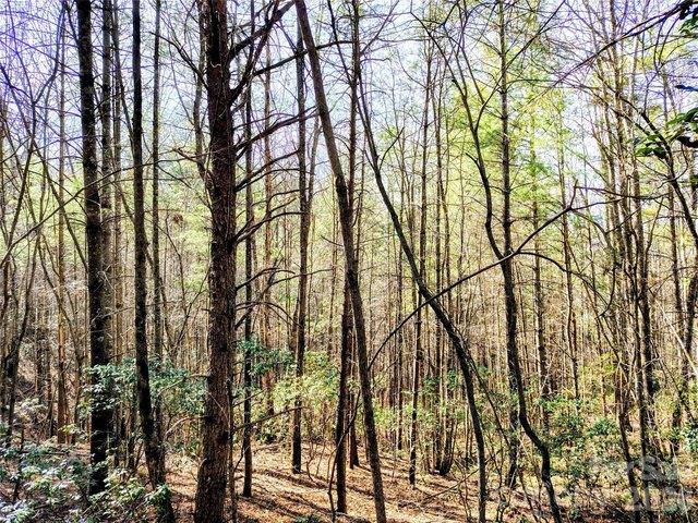 Land for sale in Collettsville, North Carolina