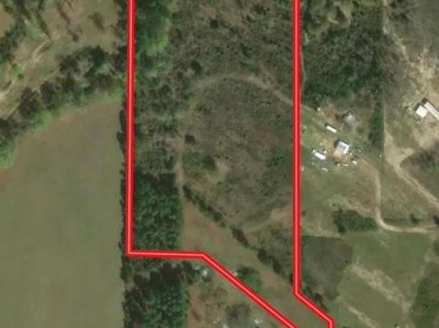 Land for sale in Geneva, Alabama