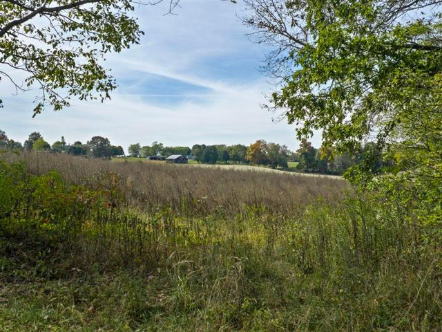 Land for sale in Hillsdale, Franklin