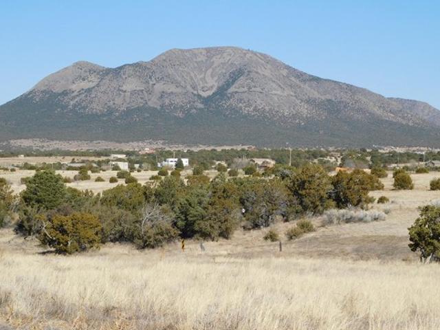 Land for sale in Sandia Park, New Mexico
