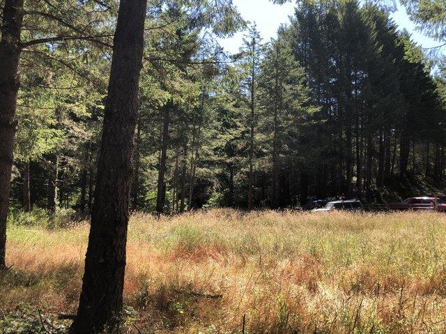 Land for sale in Humboldt, California