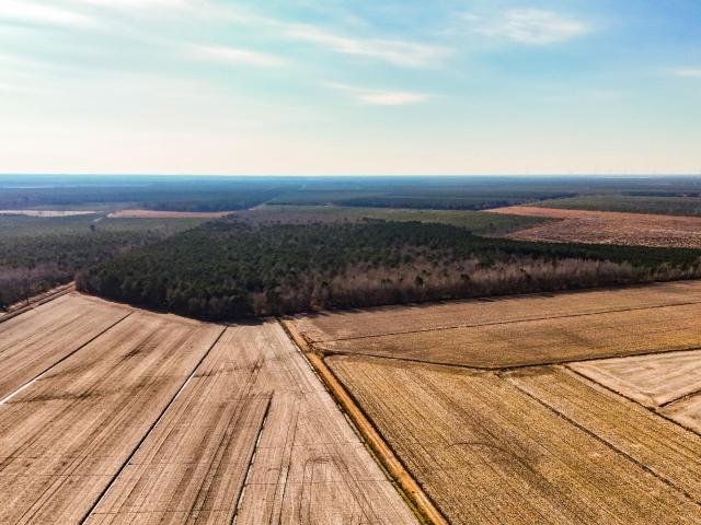 Property for sale in Hertford, North Carolina