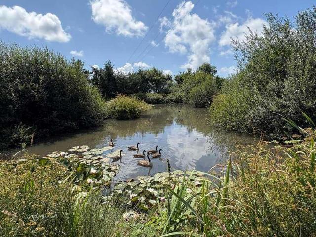 House for sale in Cornwall