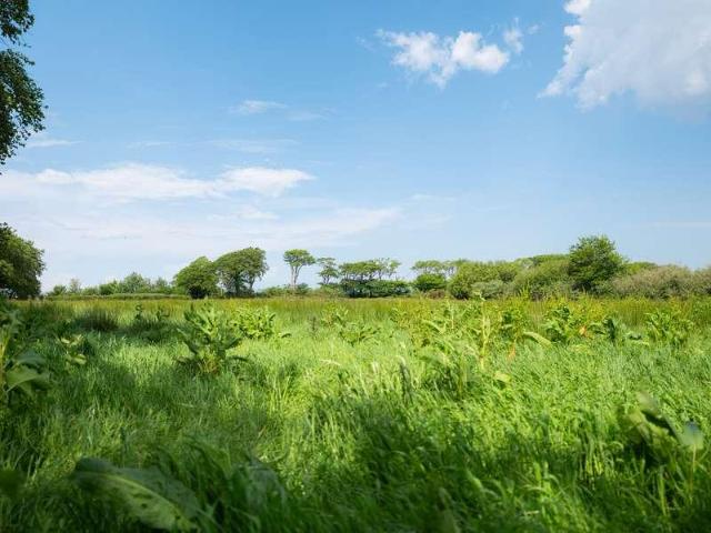House for sale in Brandis Corner, Devon