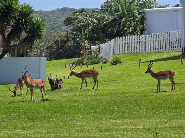 House for sale in East London, Eastern Cape