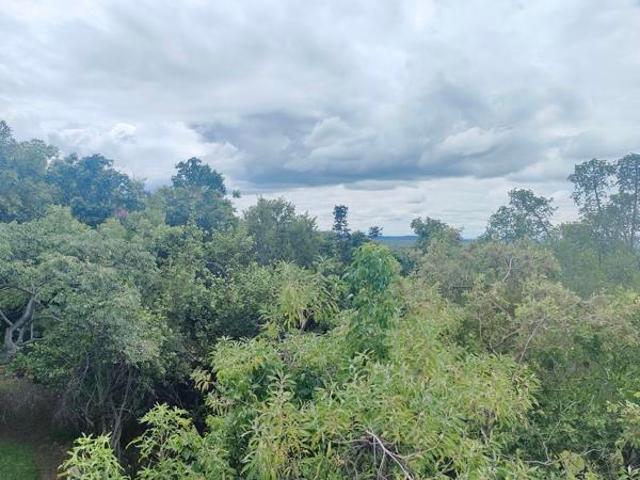 House for sale in Naboomspruit, Limpopo