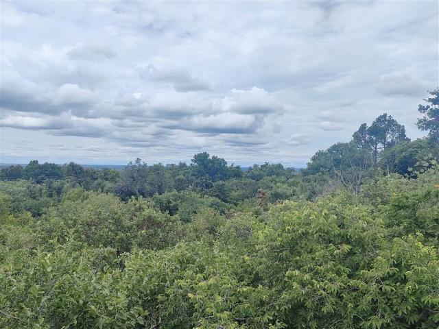 House for sale in Naboomspruit, Limpopo