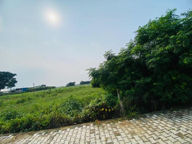 House for rent in Kharar, Punjab