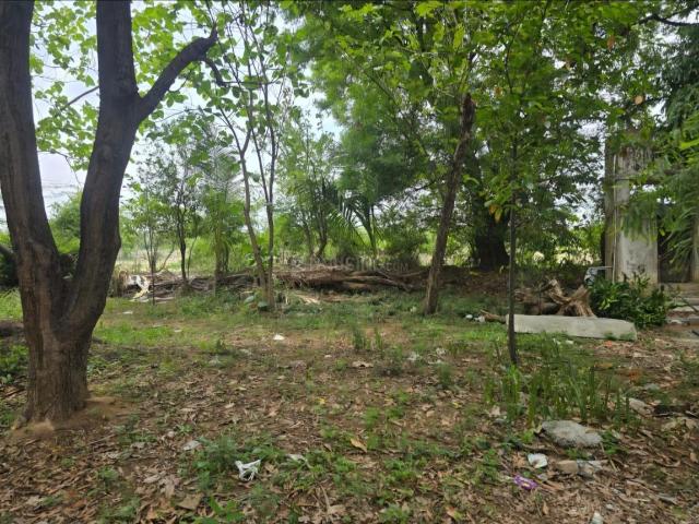 House for sale in Adyar, Tamil Nadu