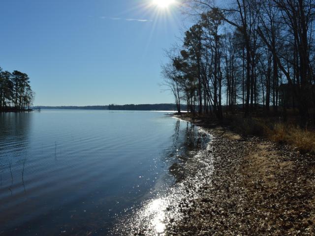 Land for sale in Ridgeway, South Carolina