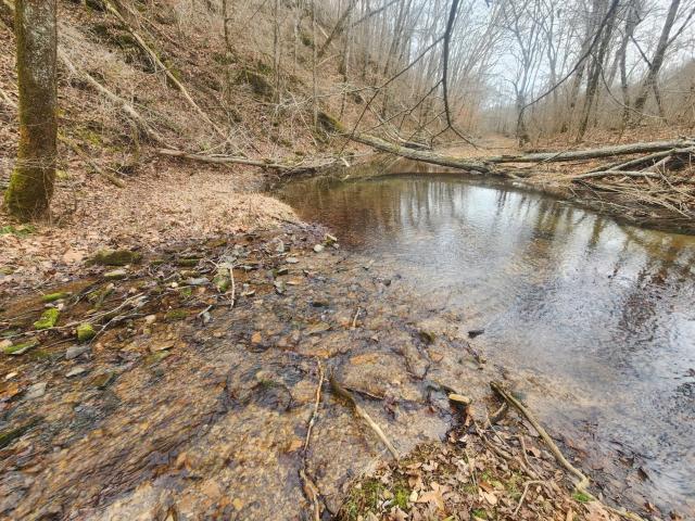 Land for sale in Tennessee