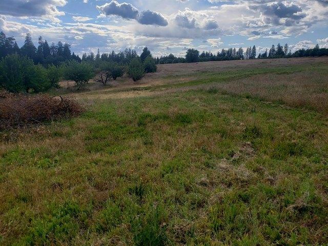 Land for sale in Placerville, El Dorado County