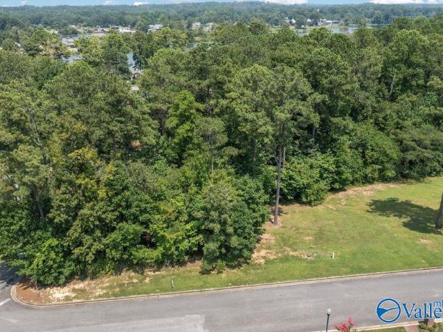 Land for sale in Etowah, Alabama