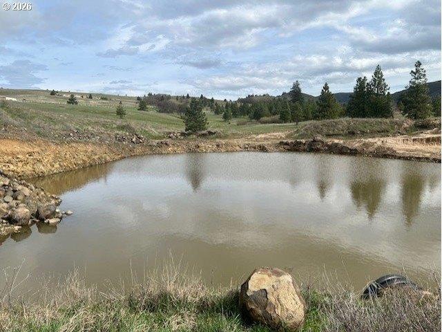 Land for sale in Lyle, Washington