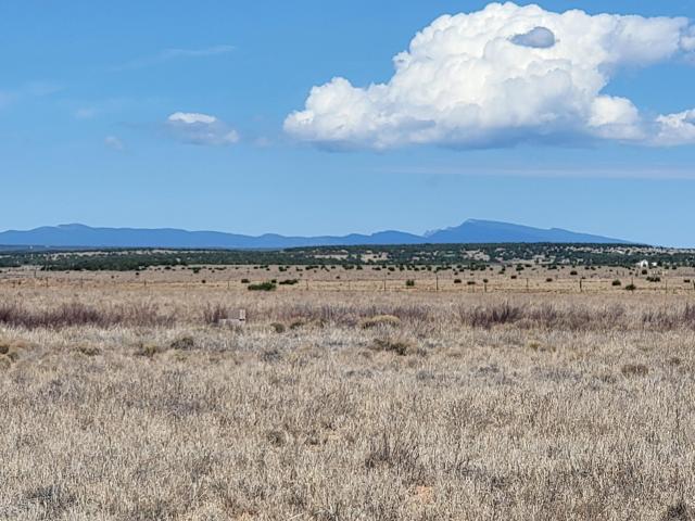 Land for sale in New Mexico