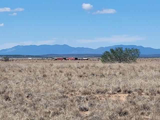 Land for sale in New Mexico