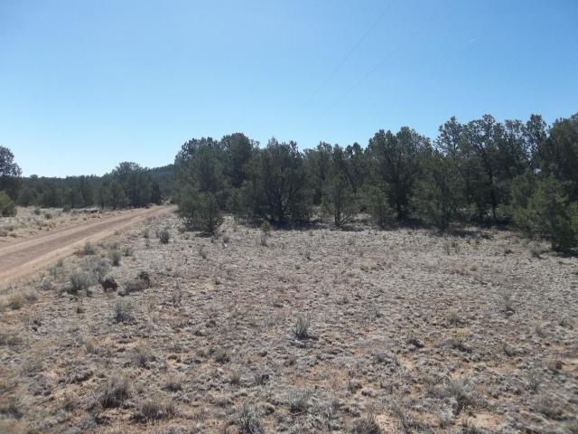 Land for sale in Ramah, New Mexico