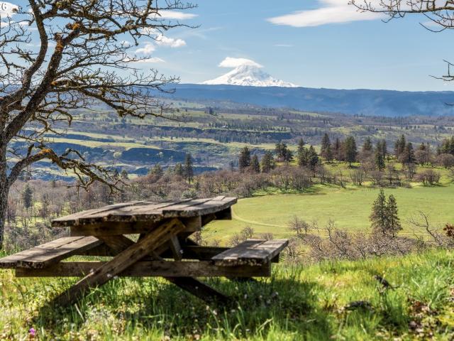 Land for sale in Lyle, Washington