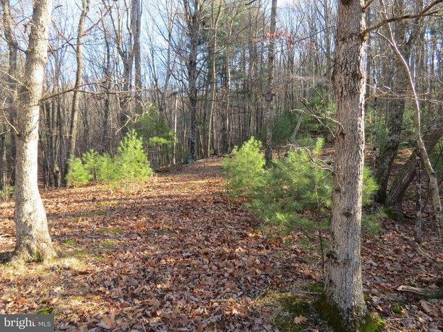 Land for sale in Hardy, West Virginia